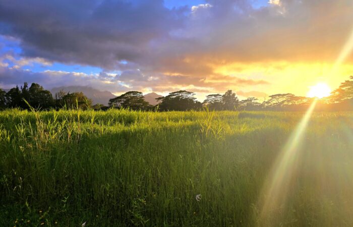 Kawa'i Scenic Field
