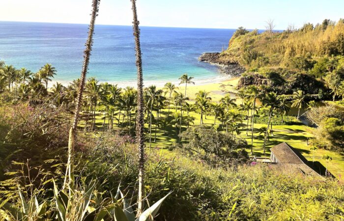 Kawa'i Scenic